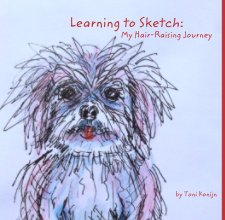 Learning to Sketch:
                                                      My Hair-Raising Journey book cover