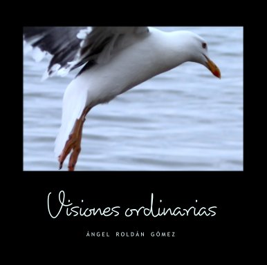 Visiones ordinarias book cover