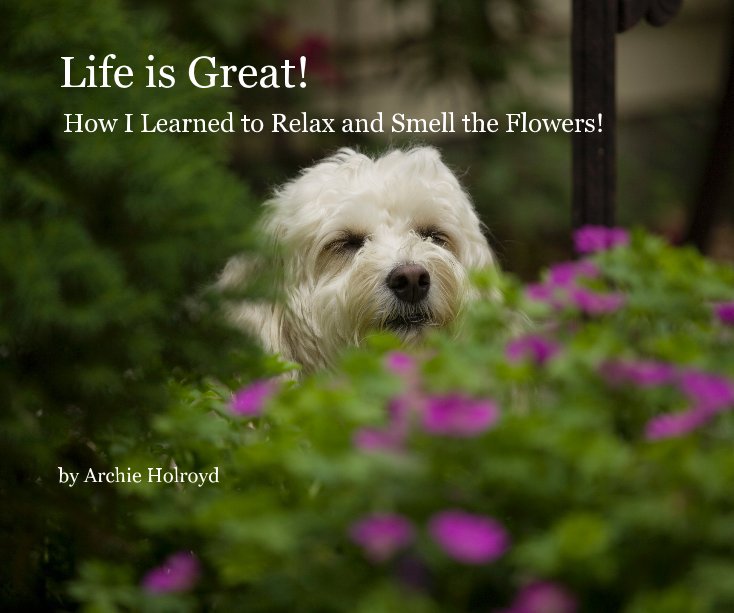 Bekijk Life is Great! op Archie Holroyd