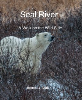 Seal River book cover