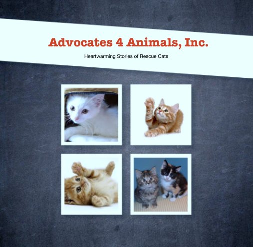 View Advocates 4 Animals, Inc. by Heartwarming Stories of Rescue Cats