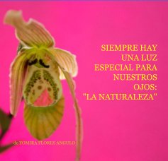 SIEMPRE HAY UNA LUZ ESPECIAL PARA NUESTROS OJOS: "LA NATURALEZA'' book cover
