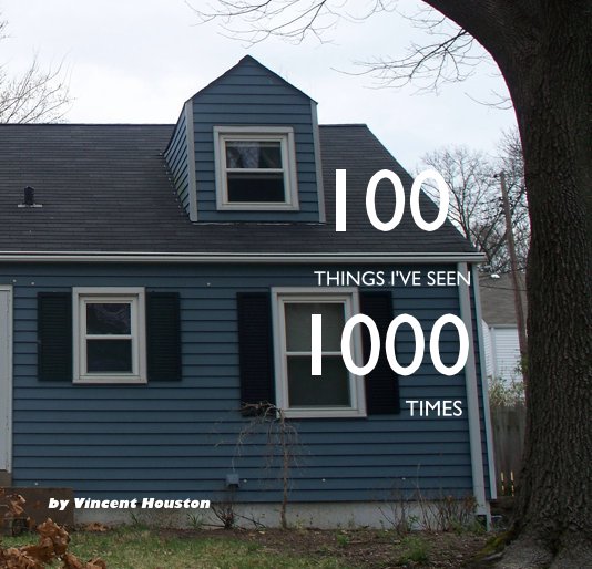 View 100 THINGS I'VE SEEN 1000 TIMES by Vincent Houston