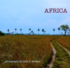 Little Book of AFRICA book cover