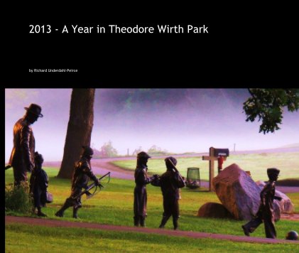 2013 - A Year in Theodore Wirth Park book cover