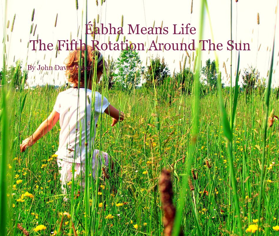 View Ãabha Means Life The Fifth Rotation Around The Sun by John David Price