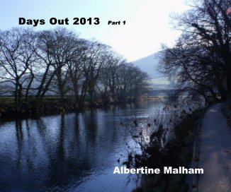 Days Out 2013 Part 1 book cover