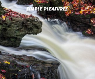 SIMPLE PLEASURES book cover