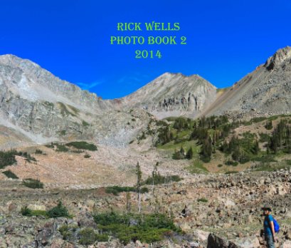 Rick Wells Book 2 book cover