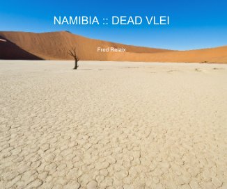 NAMIBIA :: DEAD VLEI book cover