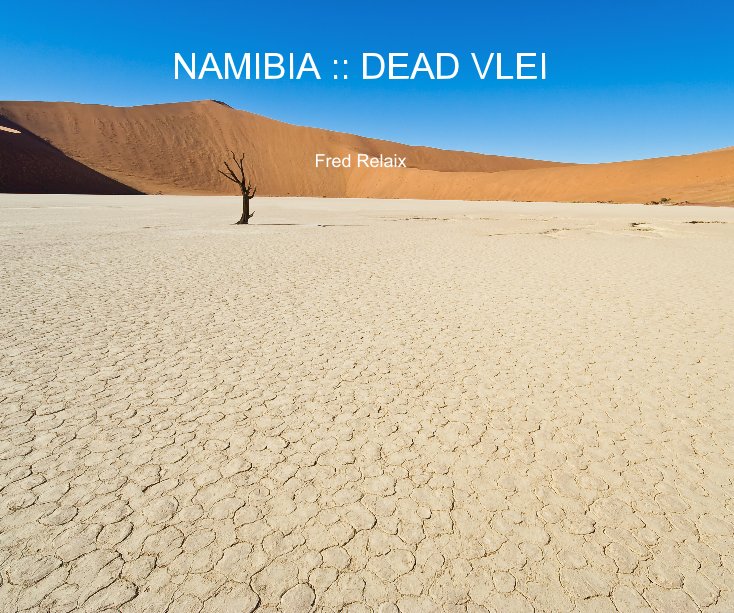 View NAMIBIA :: DEAD VLEI by Fred Relaix