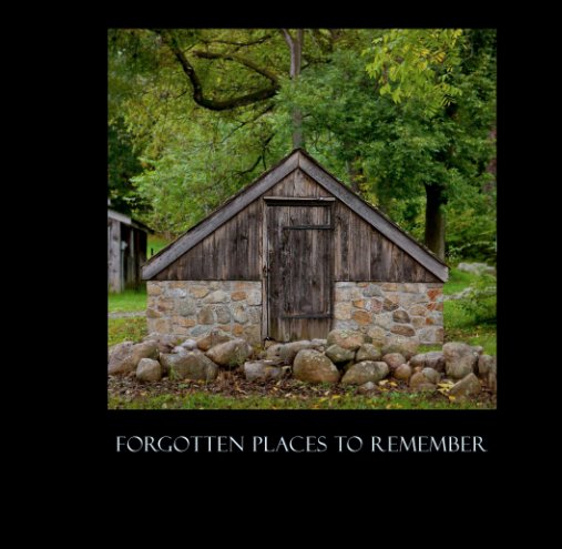 Visualizza Forgotten Places To Remember di Samantha Rose