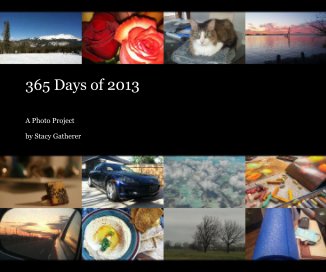 365 Days of 2013 book cover