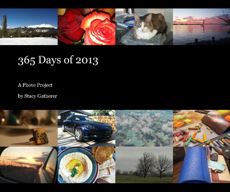 Visualizza 365 Days of 2013 di Stacy Gatherer