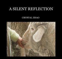 A SILENT REFLECTION book cover