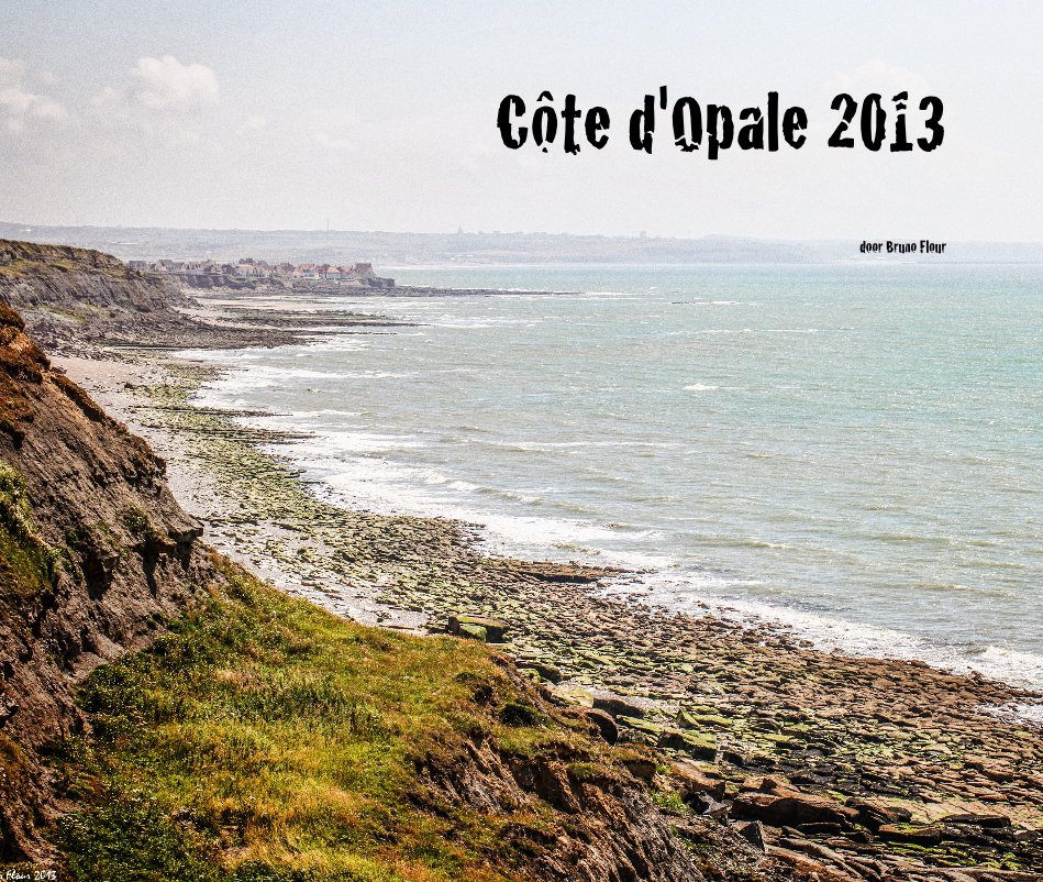 View Côte d'Opale 2013 by door Bruno Flour