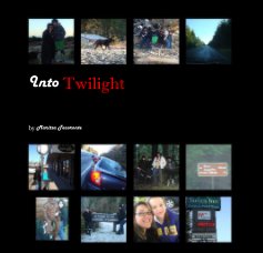 Into Twilight book cover