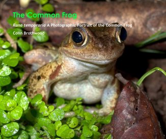 The Common Frog book cover