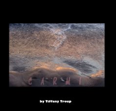 Carmi book cover