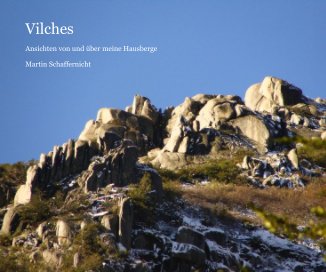 Vilches book cover