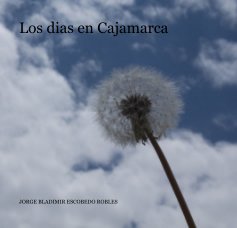 Los dias en Cajamarca book cover