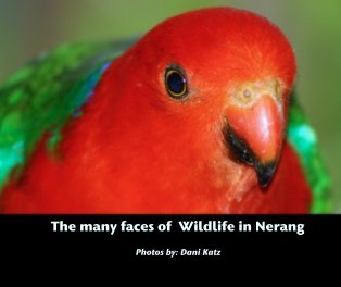 The many faces of  Wildlife in Nerang book cover