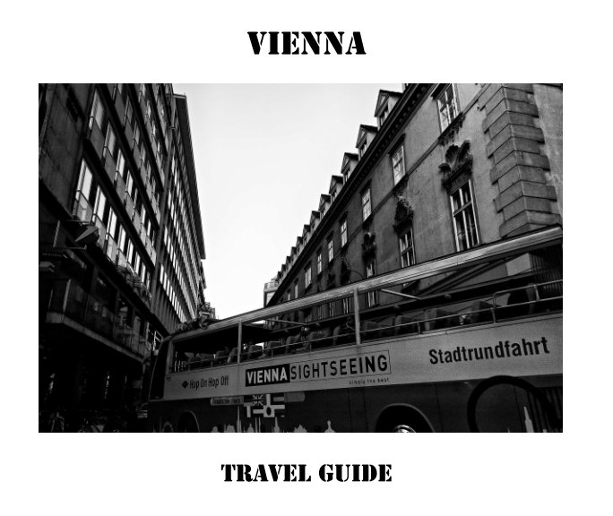 View Vienna by Karl Neuhold