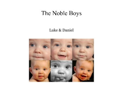 The Noble Boys book cover