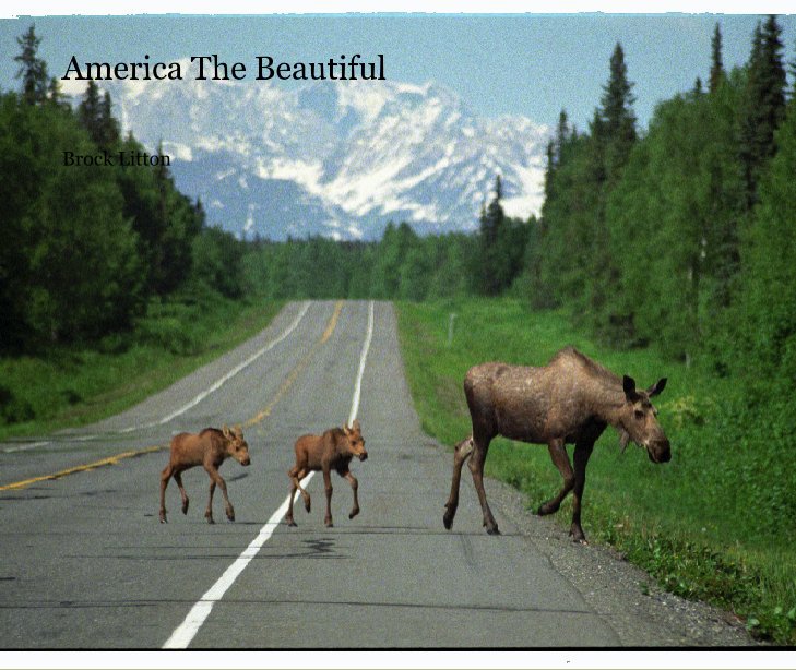 View America The Beautiful by Brock Litton