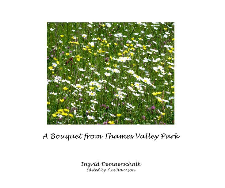 View A Bouquet from Thames Valley Park by Ingrid Demaerschalk Edited by Tim Harrison