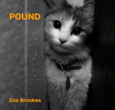 POUND book cover
