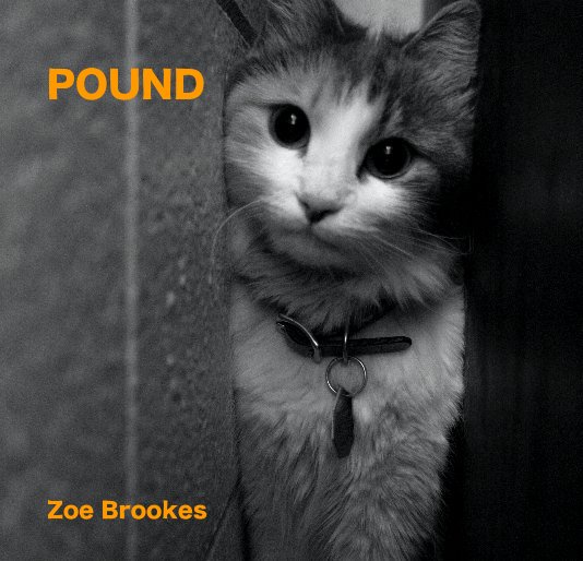View POUND by Zoe Brookes