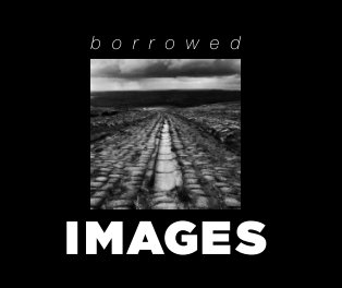 Borrowed Images book cover