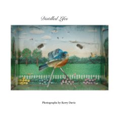 Distilled Lifes book cover