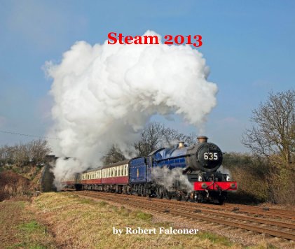 Steam 2013 book cover