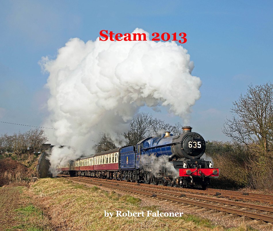 Steam 2013 nach Robert Falconer anzeigen