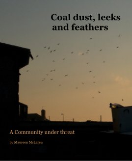 Coal dust, leeks and feathers book cover