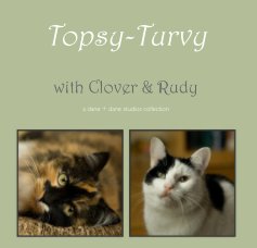 Topsy-Turvy book cover