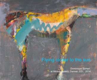 Flying closer to the sun Dominique Samyn at Mirada Gallery, Denver, CO., 2014 book cover