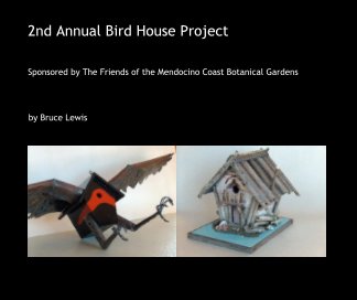 2nd Annual Bird House Project book cover