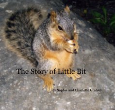 The Story of Little Bit book cover