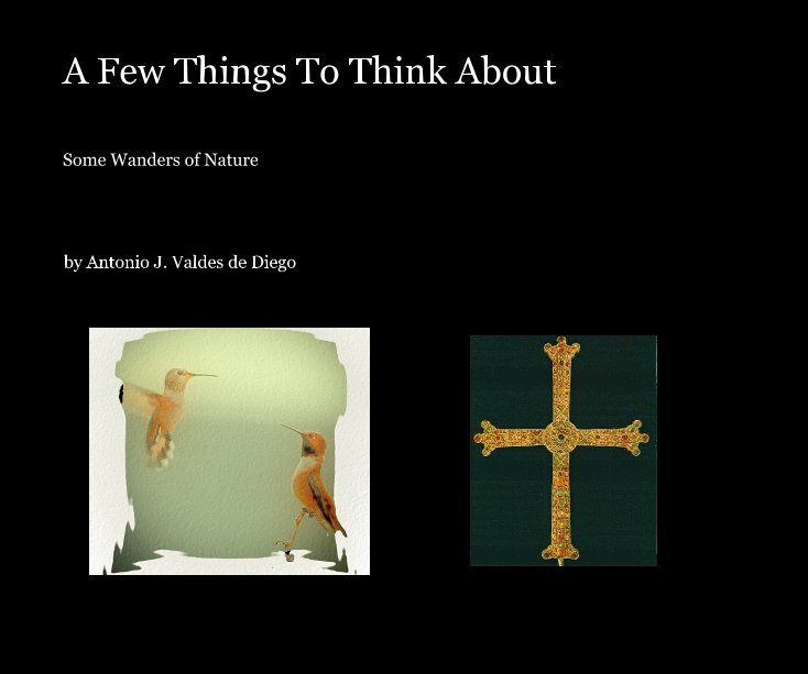 View A Few Things To Think About by Antonio J. Valdes de Diego
