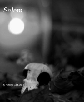 Salem book cover