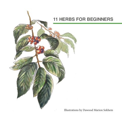 Ver 11 Herbs For Beginners por Dawood (Marion) Sekhem
