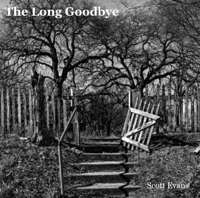 The Long Goodbye book cover
