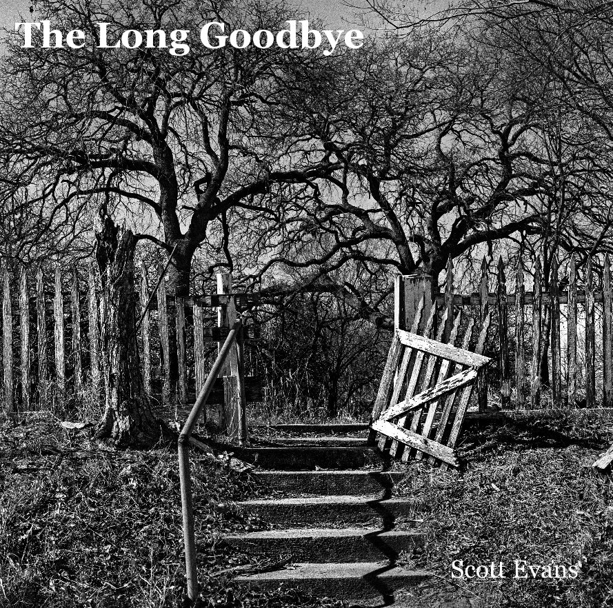 Visualizza The Long Goodbye di Scott Evans