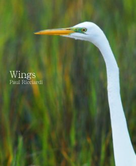 Wings Paul Ricciardi book cover