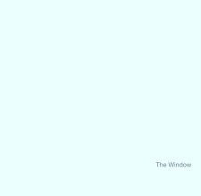 The Window book cover