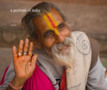 a portrait of india book cover