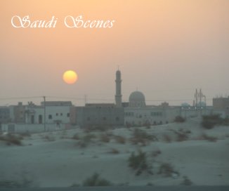 Saudi Scenes-Public book cover